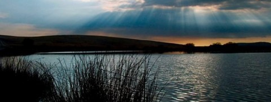 Reynoldston Community Website